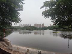 -重庆彩云湖湿地公园