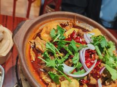 -沙胆彪炭炉牛杂煲(成都玉林店)