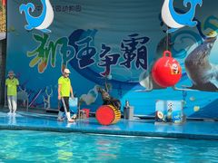 -荆州中山公园动物园