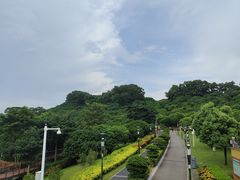 -立新湖公园