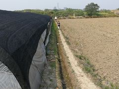 -小鱼草莓采摘园农家乐·小鱼餐厅