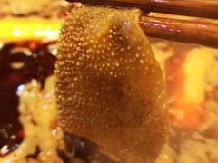 -星鸿社重庆老火锅(燃灯寺分店)