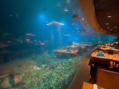 -海棠湾洲际-涛·海底餐厅·美人鱼·自助餐·海底隧道
