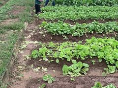 -前小桔亲子创意农场·草莓采摘·露营烧烤