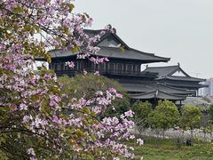 -海珠湖公园