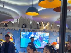 -帝企鹅自助餐厅•儿童岛•真企鹅(长隆企鹅酒店)