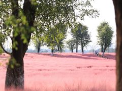 -汉长安城未央宫国家考古遗址公园
