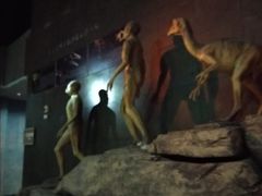 -世界恐龙谷景区