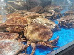 -盒马鲜生(富田新天地店)