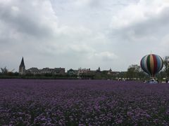 -美的鹭湖森林度假区