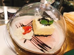 -飞行喵MR PILOT|猫舍·猫咖(静安大融城店)