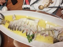 -鲁宴·鲁煨黄河生态大鲤鱼(月坛店)
