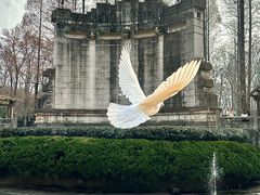 -音乐台