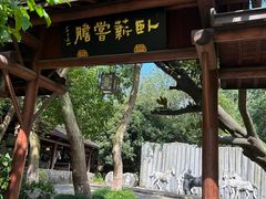 -白马涧龙池景区