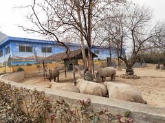 -西安秦岭野生动物园