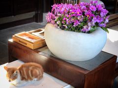 -苏州文旅花间堂·探花府酒店