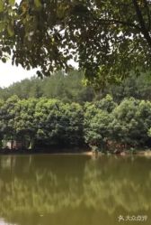 -成都飞越丛林探险乐园(锦绣城园区)
