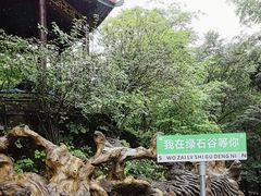 -本溪汤沟绿石谷森林公园