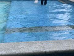 -汪说喵讲宠物乐园宠物酒店(红星美凯龙店)