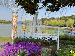 -上海鲜花港
