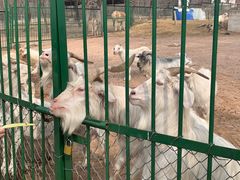 -秦皇岛野生动物园
