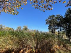 -Supine Bistro溯泮餐厅