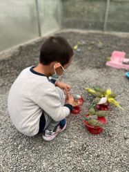 -萌宠亲子动物乐园(槐房万达店)