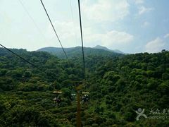 -鼎湖山风景区