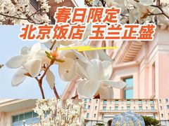 -北京饭店