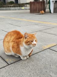 -西安市儿童医院(西门院区)