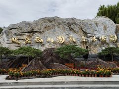 -北京西山国家森林公园