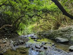 -梧桐山风景名胜区