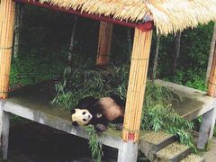 -硗碛藏寨·神木垒景区