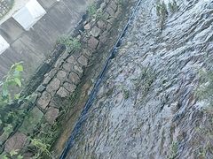 -京北渔家傲