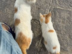-鸡鸣驿城