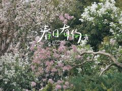 -团结湖公园