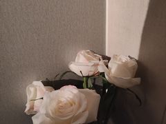 -道合堂·中式按摩·spa(民治店)