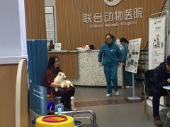 -联合动物医院(光谷诊疗中心)