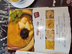 -大中鱼翅 Taitong Shark Fin