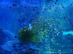 -波塞冬旅游度假区