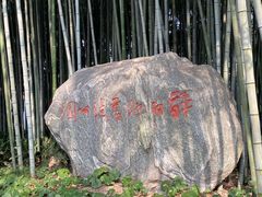 -上海醉白池公园