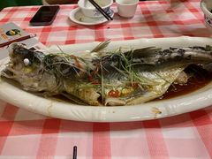 清蒸银鳕鱼-醉美东江·三文鱼·烧鸡公