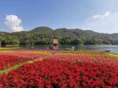 -广州市石门国家森林公园