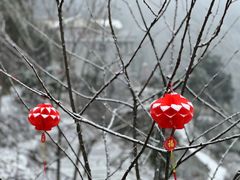 -湖南四明山国家森林公园