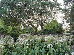 -晓港公园