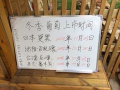 -海堤葡萄园中小学生研学基地