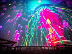 -烟台海昌鲸鲨海洋公园