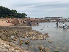 -八大关景区