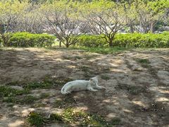 -无锡梅园公园