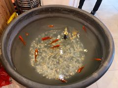 -恭敬李老北京炸酱面·京味菜(西花市店)